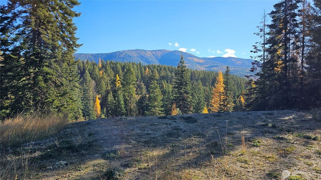 Photo of 717 C Finley Gulch Rd. Rd, Colville, WA 99114 (MLS # 2457839)