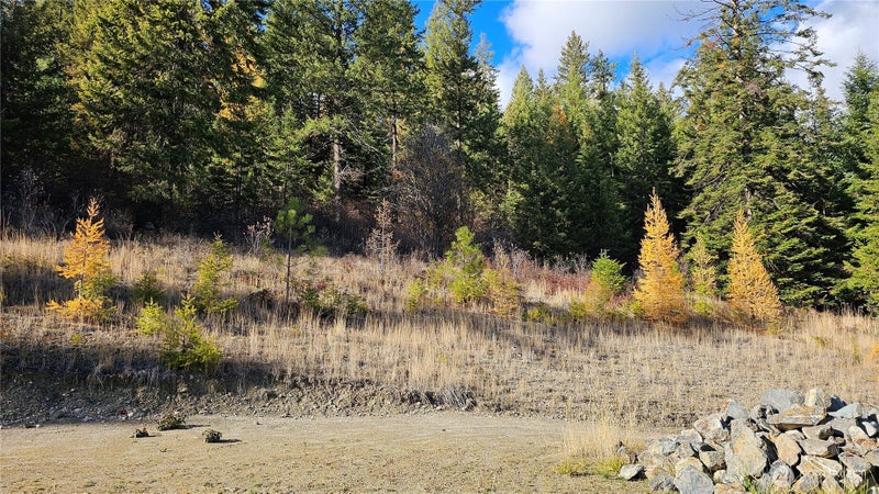 717 Finley Gulch Rd.