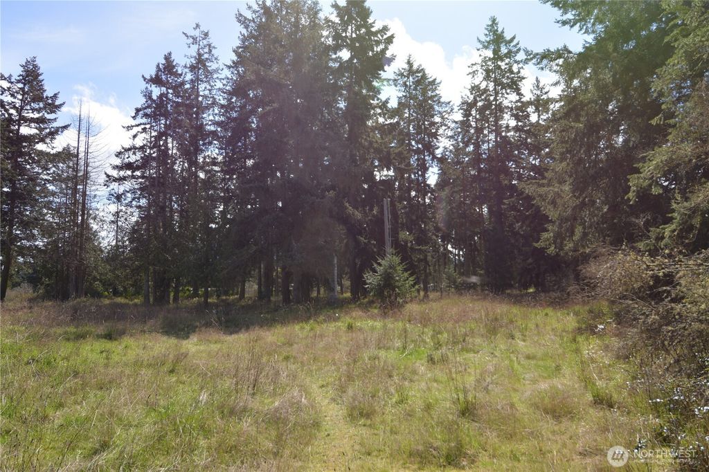 Photo of 999 W Silberhorn, Sequim, WA 98382 (MLS # 2496889)