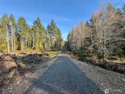 Photo of 260 E Solbakk Veien Road, Shelton, WA 98584 (MLS # 2477931)