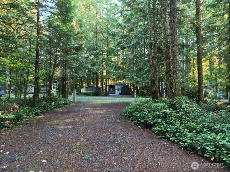 84 Wilderness Way