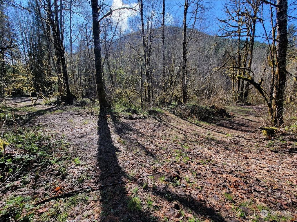 Photo of 47530 A Sauk Prairie Road, Darrington, WA 98241 (MLS # 2056708)