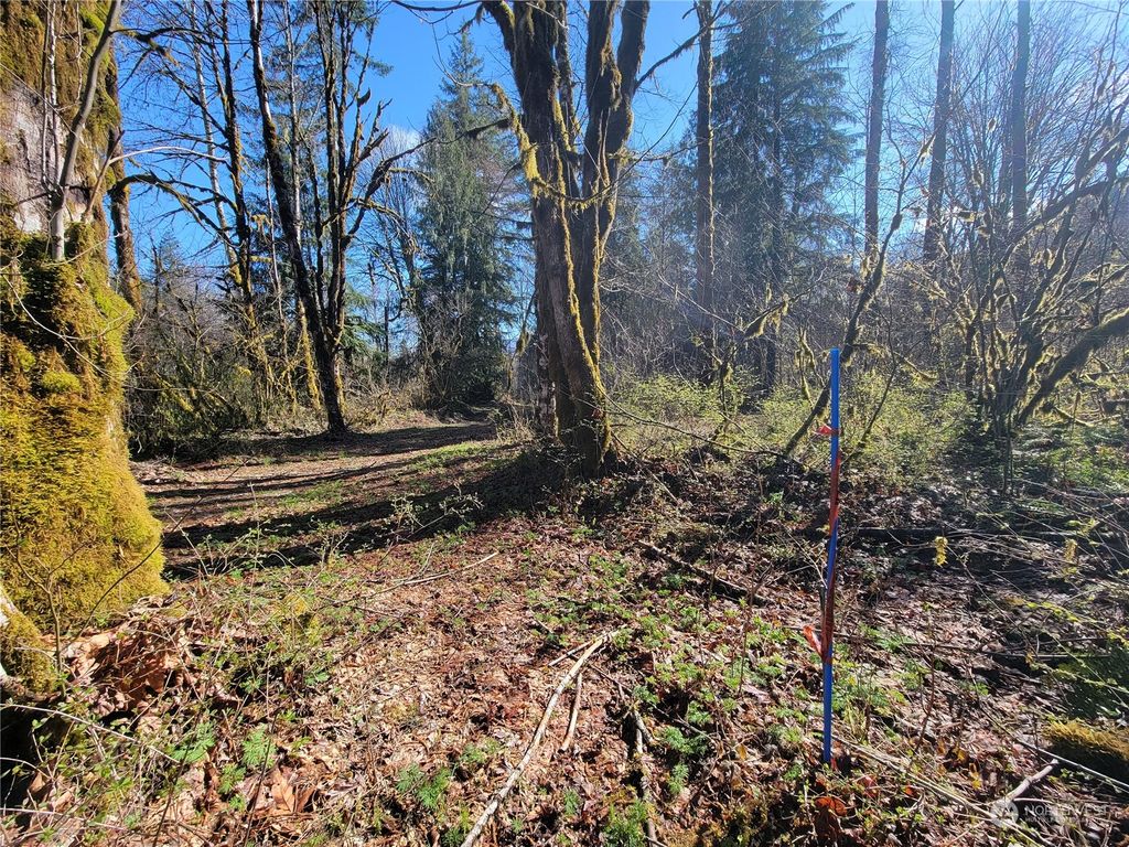 Photo of 47530 A Sauk Prairie Road, Darrington, WA 98241 (MLS # 2056708)