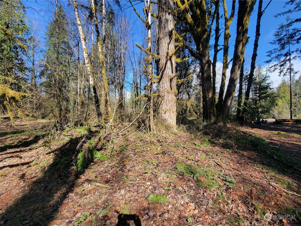 Photo of 47530 A Sauk Prairie Road, Darrington, WA 98241 (MLS # 2056708)