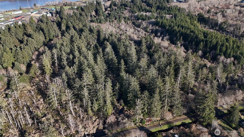 Photo of 8 012203300100, Aberdeen, WA 98520 (MLS # 2504472)