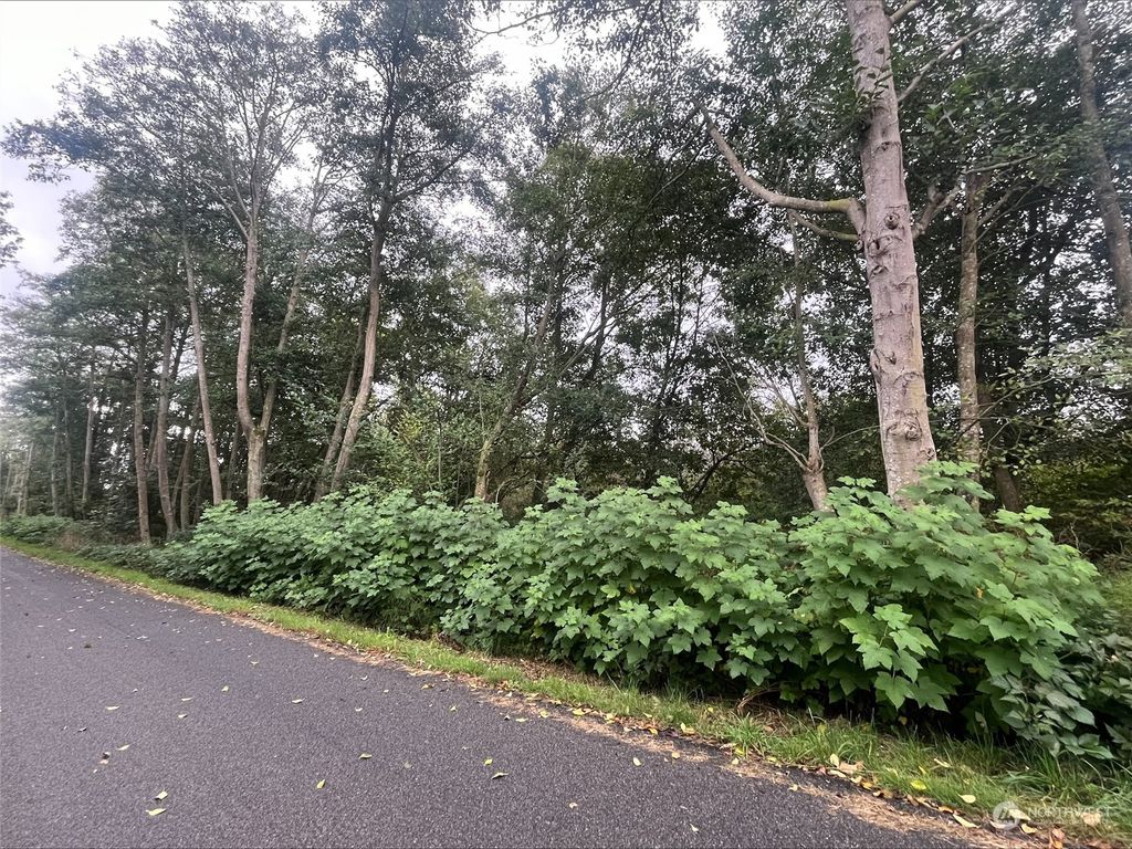 Photo of 1 Logen Road, Stanwood, WA 98292 (MLS # 2294796)