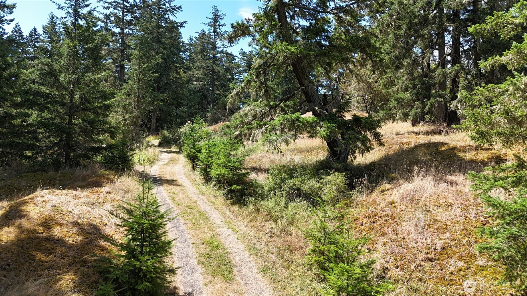 0 Woodpecker Lane