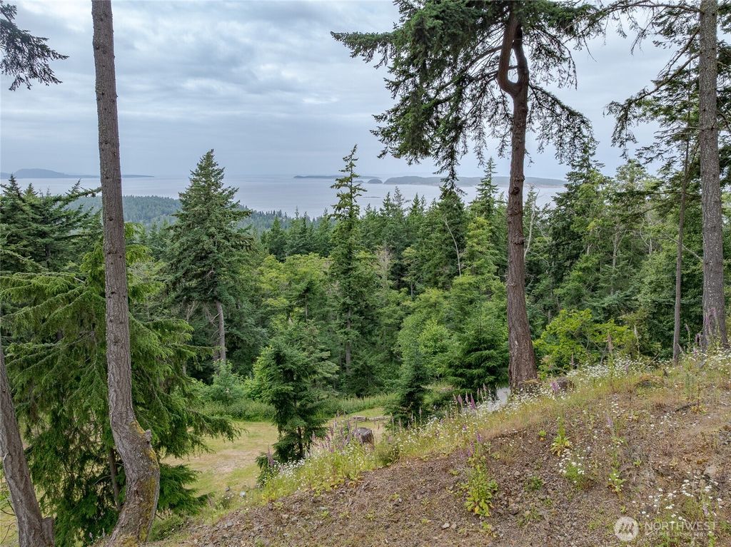 Photo of 540 Wright Road, Orcas Island, WA 98245 (MLS # 2495694)