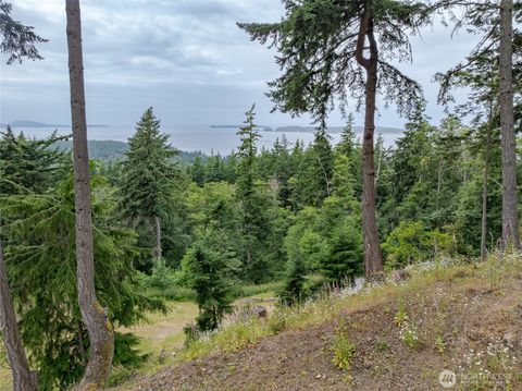 Photo of 540 Wright Road, Orcas Island, WA 98245 (MLS # 2495694)