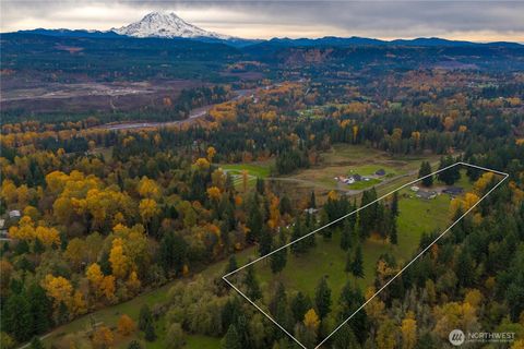 15701 264th Street E, Graham, WA 98338 - MLS#: 2364117