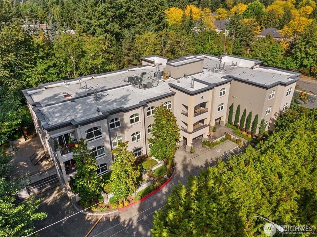 Bellevue, Washington, 98004, United States, 2 Bedrooms Bedrooms, ,2 BathroomsBathrooms,Residential,Active,2023880