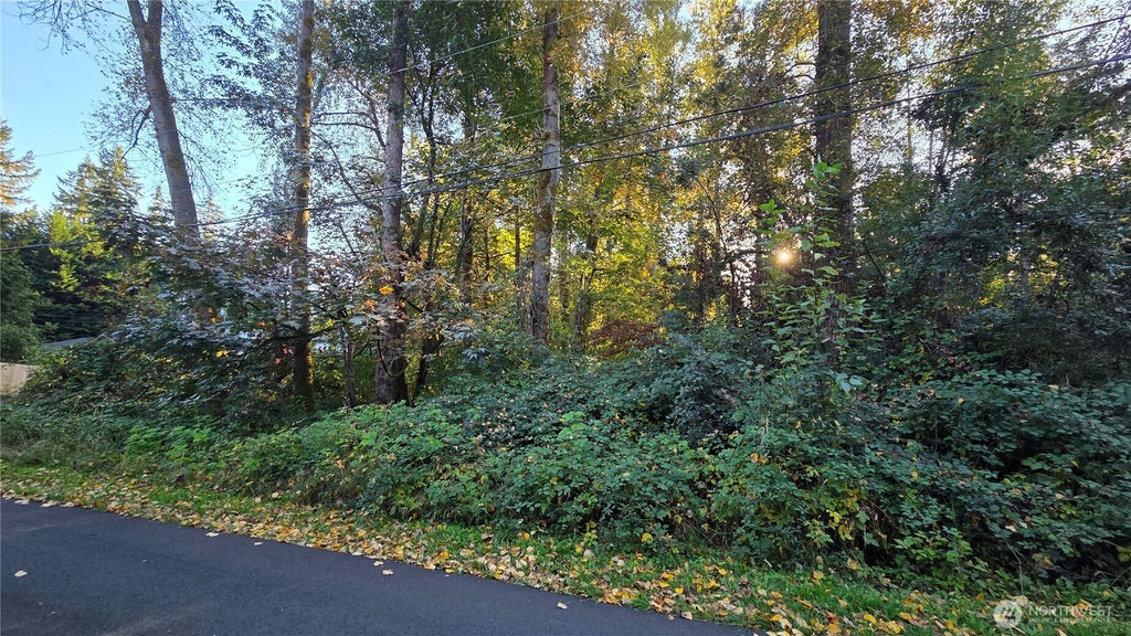 Photo of 15323 207th Place SE, Renton, WA 98059 (MLS # 2591779)