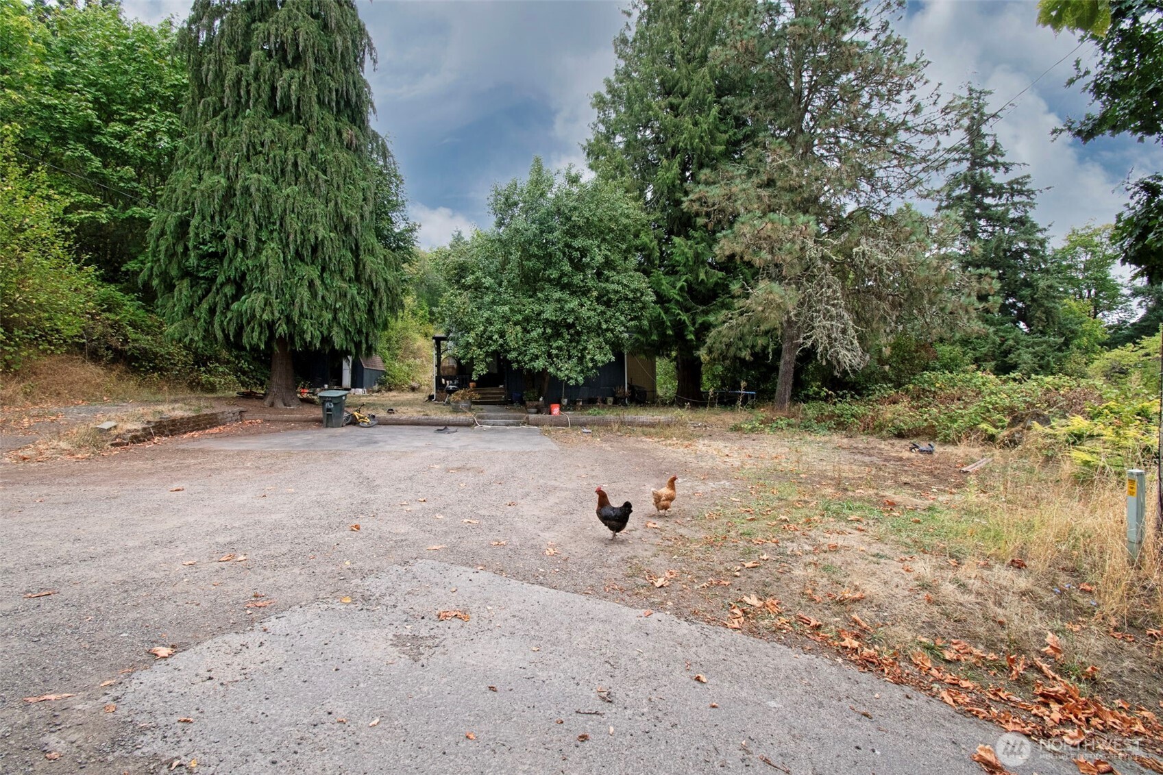 406 Chehalis