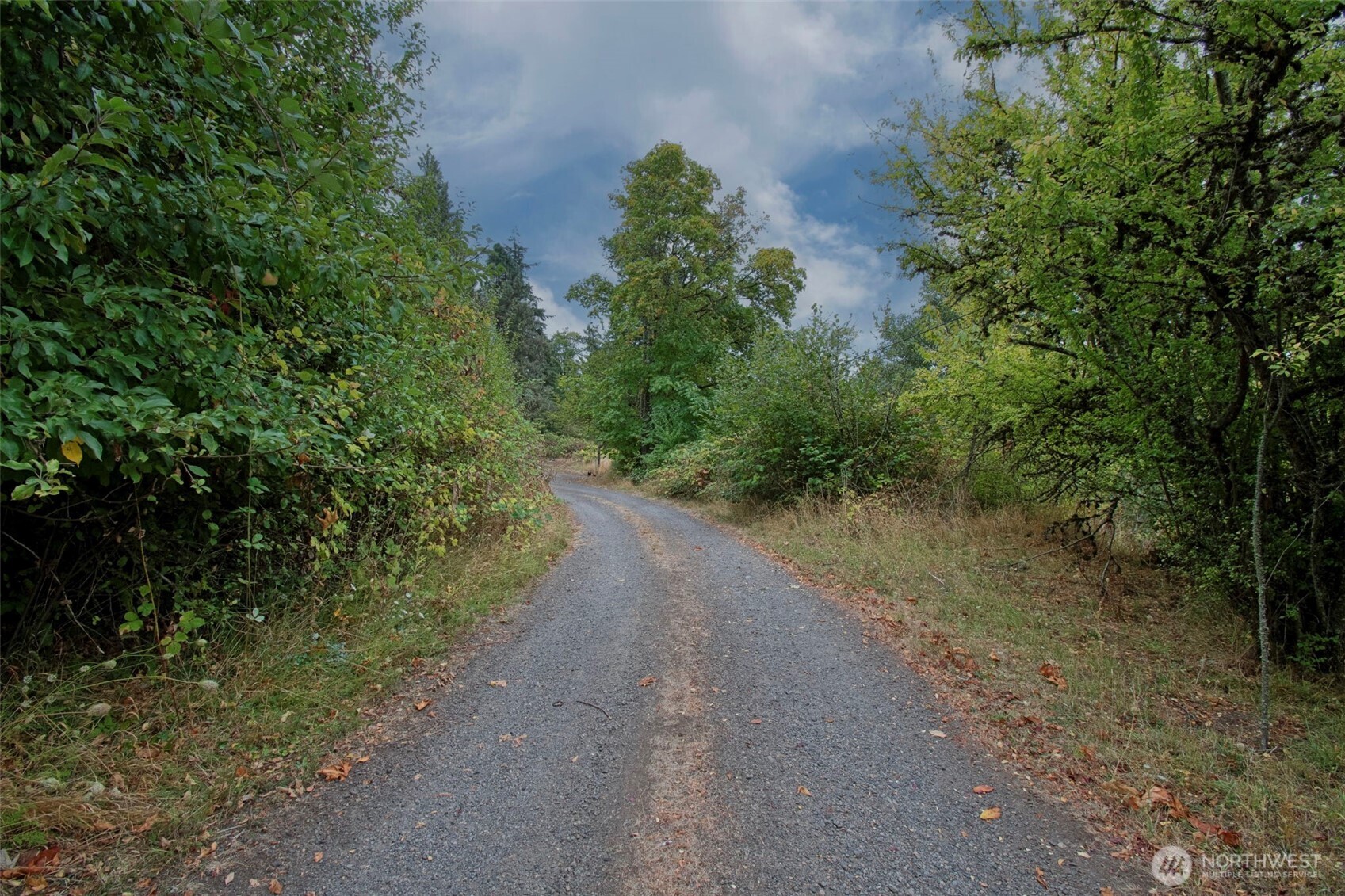 406 Chehalis