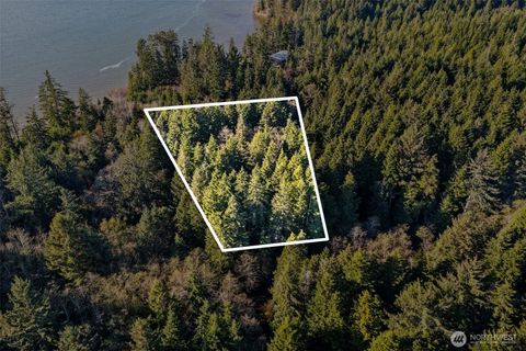 0 Bay Lane South Bend WA 98596