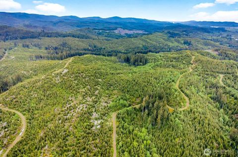 Photo of 1 Parpala Road #1, Naselle, WA 98638 (MLS # 2376903)
