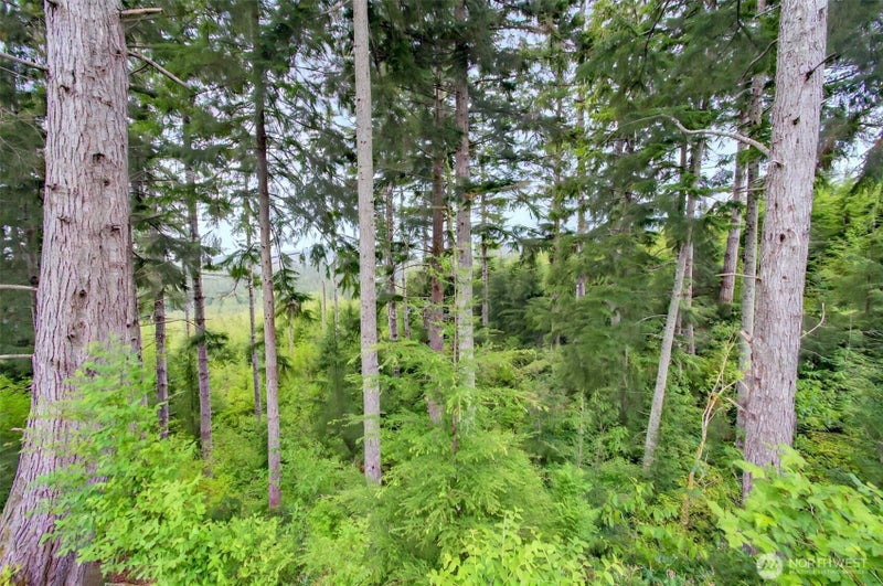 1 Parpala Road 1