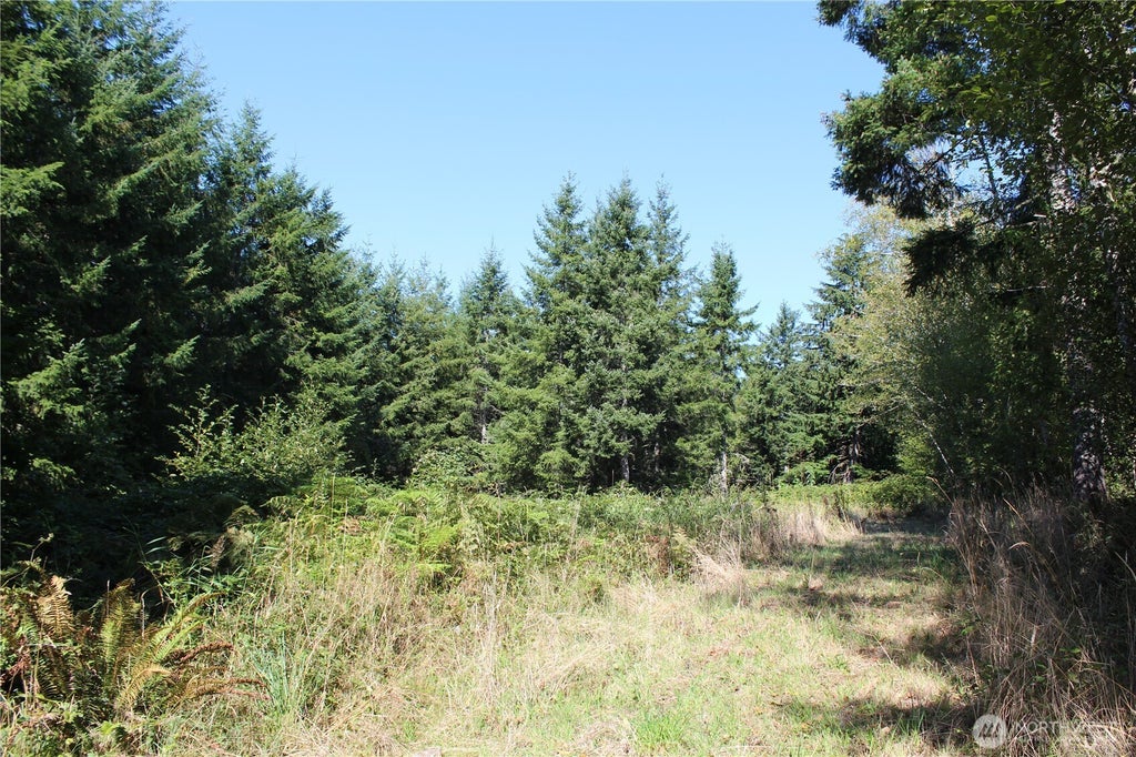 Photo of 0 Lot G Ravenwood Drive, Kelso, WA 98626 (MLS # 2576855)