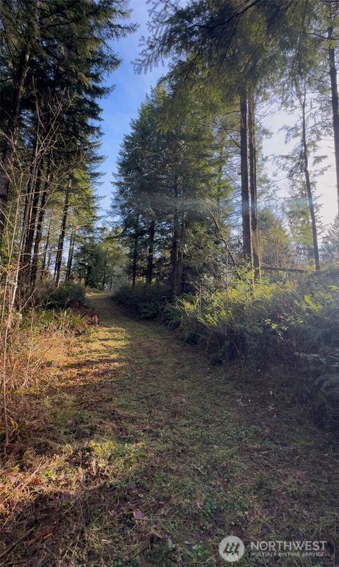 0 Seminary Hill Road Centralia WA 98531