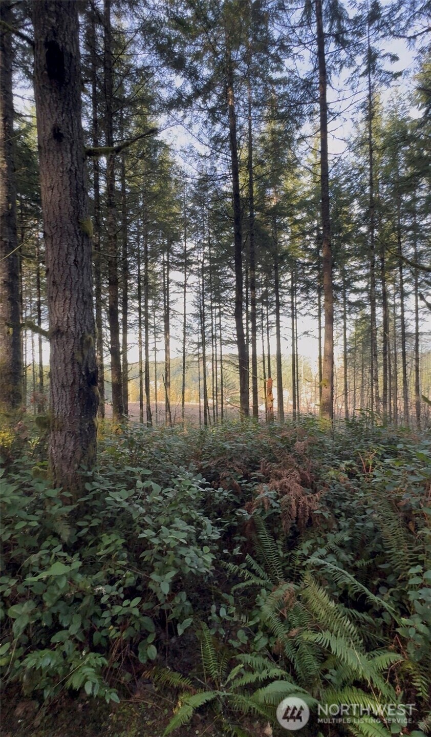 0 Seminary Hill Road