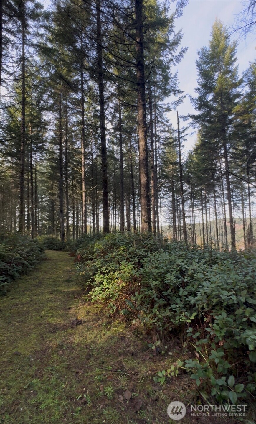 0 Seminary Hill Road