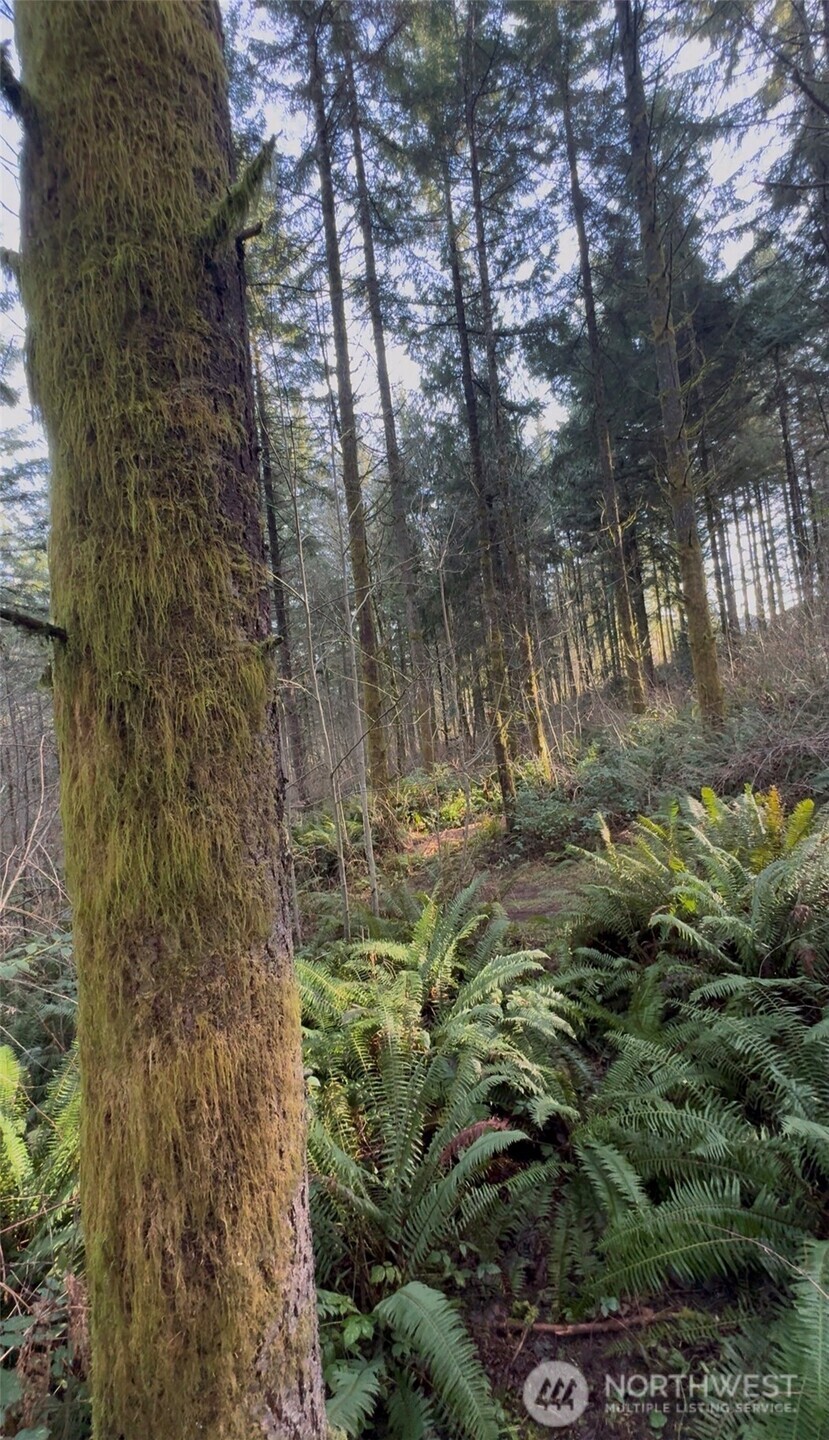 0 Seminary Hill Road