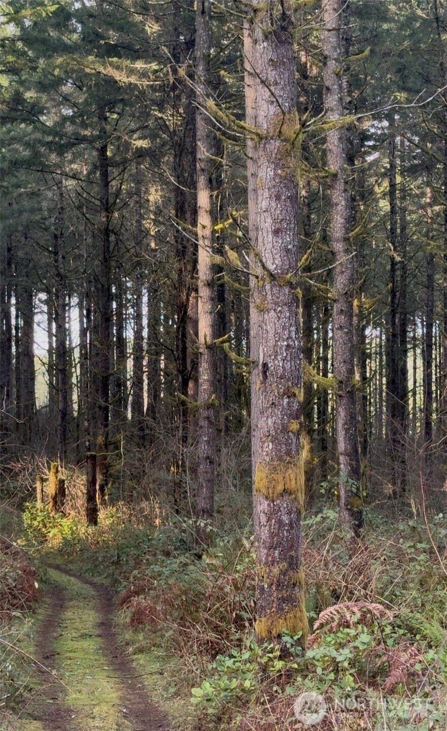 0 Seminary Hill Road