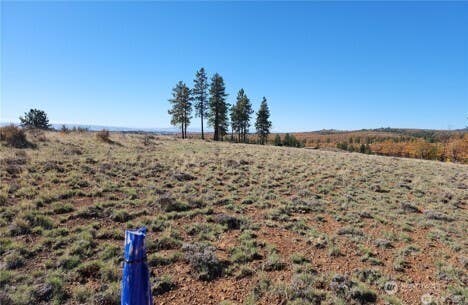 Photo of 0 Lot 36 Bluebird Ridge #1, Goldendale, WA 98620 (MLS # 2562148)