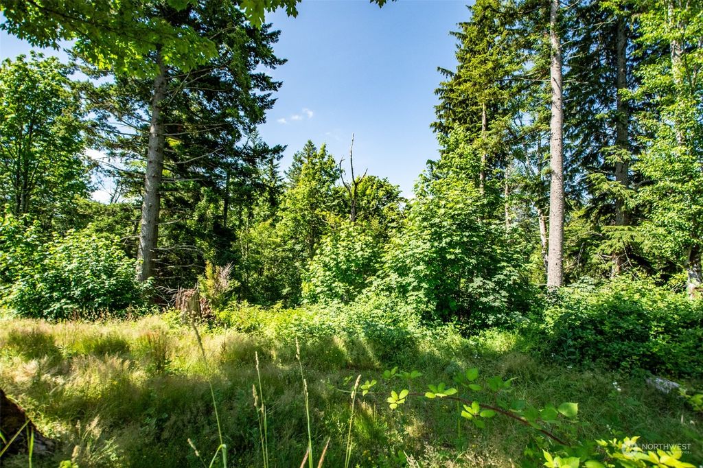 Photo of 98 XX 351st Avenue SE, Snoqualmie, WA 98065 (MLS # 2322892)
