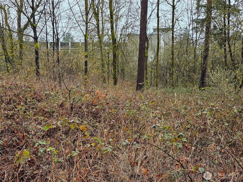 Photo of 13036 188th Avenue SW #B, Rochester, WA 98579 (MLS # 2496143)