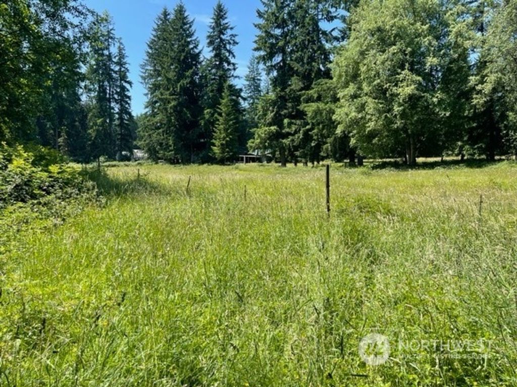 Photo of 64 XX 119th Drive NE, Lake Stevens, WA 98258 (MLS # 2131920)