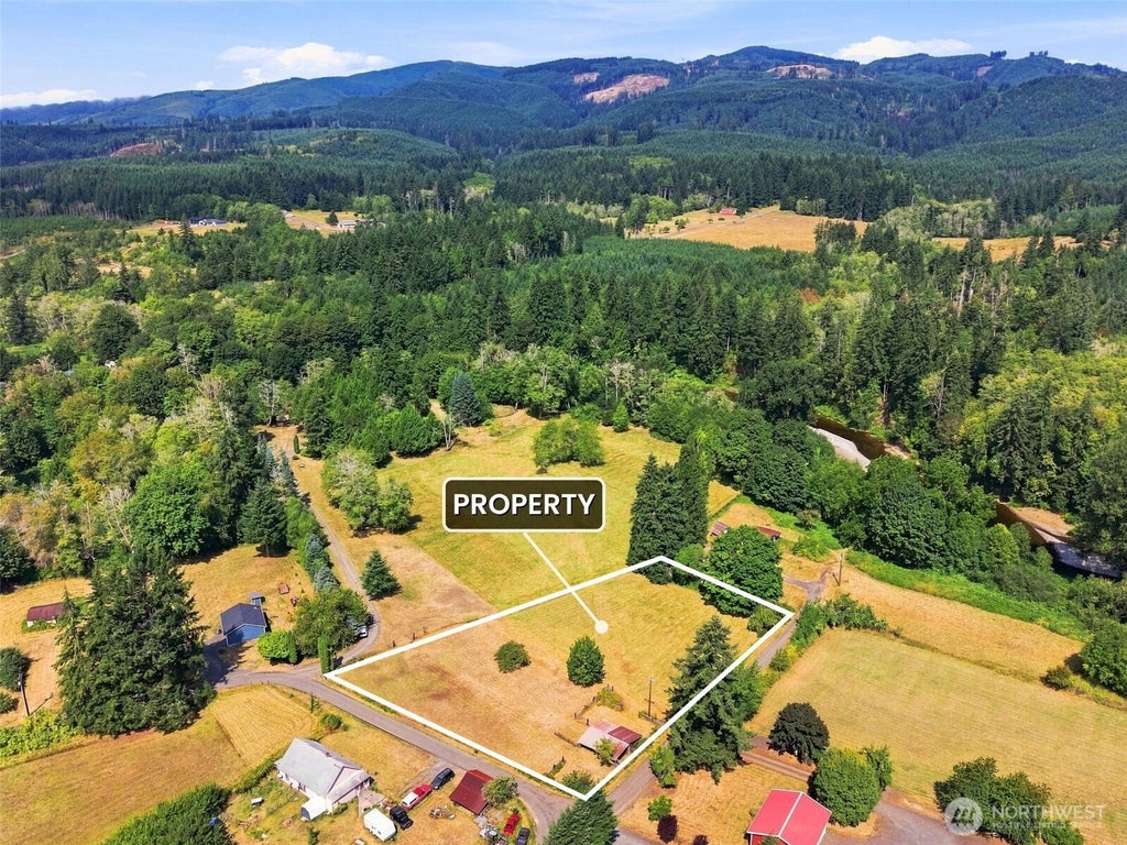 Photo of 0 Cedar, Doty, WA 98539 (MLS # 2570604)