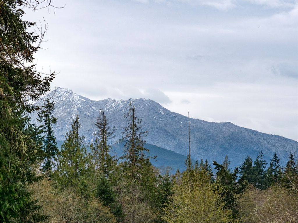 Photo of 9999 Cedar Glen Lane, Port Angeles, WA 98362 (MLS # 2476238)