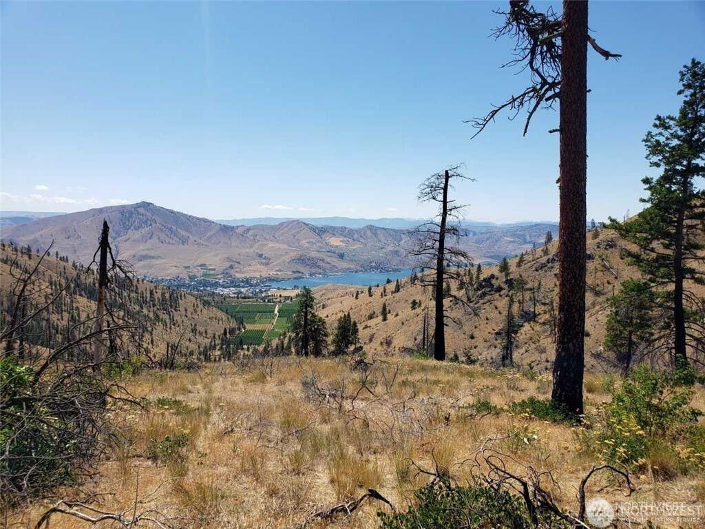 Photo of 0 Albers Road, Chelan, WA 98816 (MLS # 2540541)