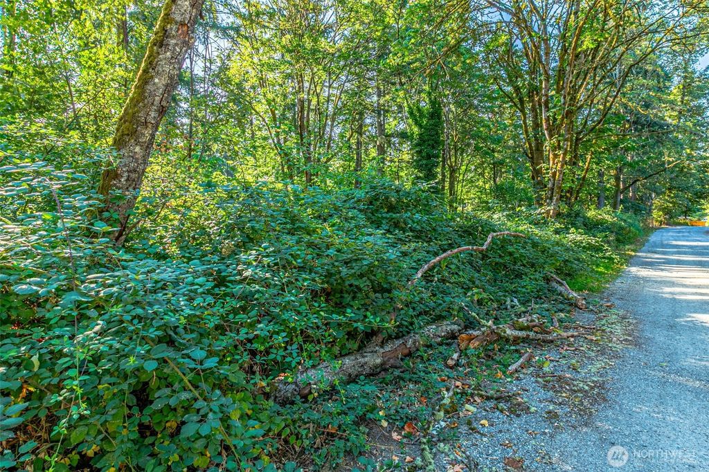 Photo of 36922 6th Avenue SW, Federal Way, WA 98023 (MLS # 2418025)