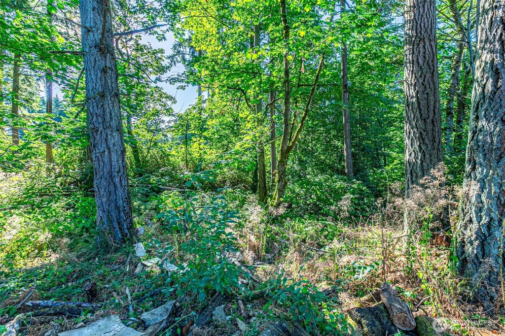 Photo of 36922 6th Avenue SW, Federal Way, WA 98023 (MLS # 2418025)
