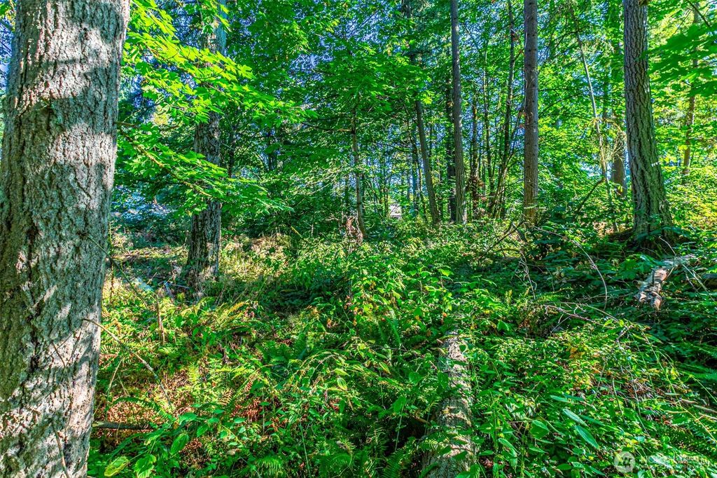 Photo of 36922 6th Avenue SW, Federal Way, WA 98023 (MLS # 2418025)
