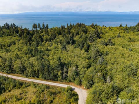 Photo of 999 W Dew Knot Enter Road, Port Angeles, WA 98363 (MLS # 2570024)
