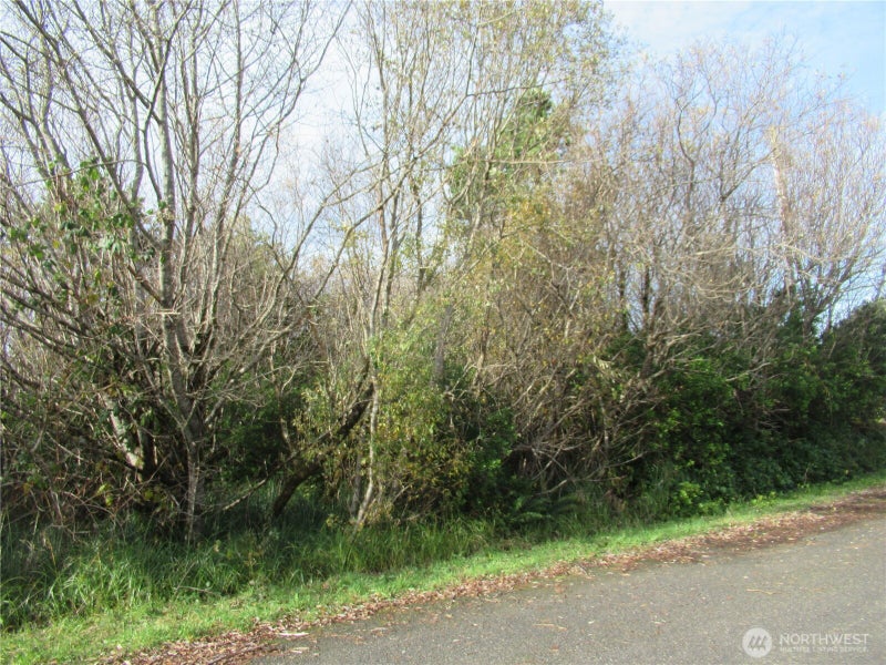 0 Driftwood Dr Drive