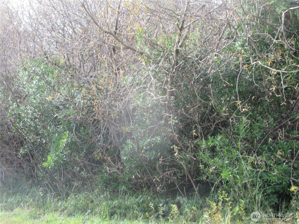 Photo of 0 Driftwood Dr Drive, Ocean Shores, WA 98569 (MLS # 2480841)