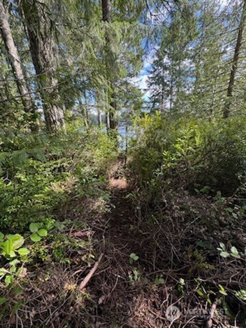 Photo of 1961 E Trails End Drive, Belfair, WA 98528 (MLS # 2491600)