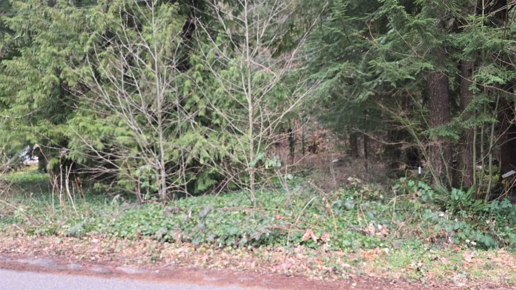 Photo of 7884 Santa Fe Trail, Maple Falls, WA 98266 (MLS # 2478673)