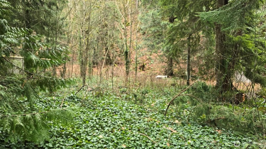 Photo of 7884 Santa Fe Trail, Maple Falls, WA 98266 (MLS # 2478673)