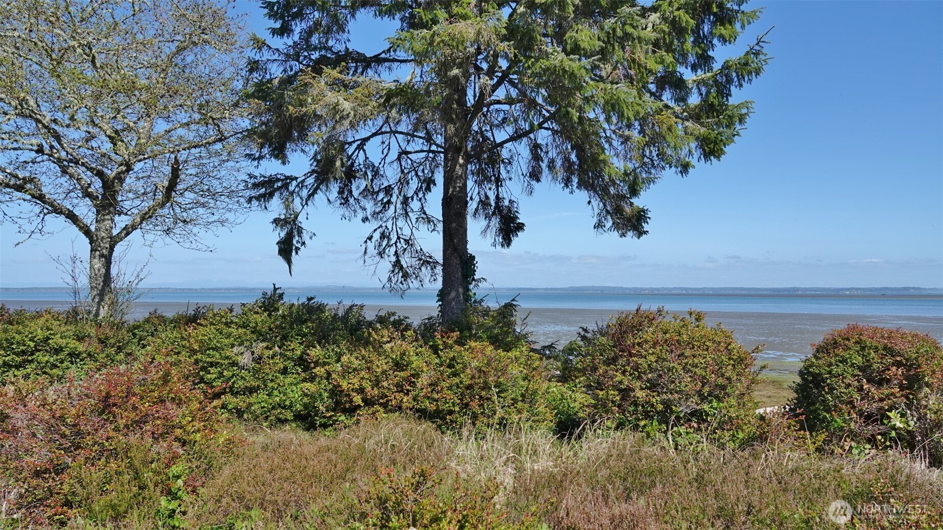 574 Chinook Avenue SE