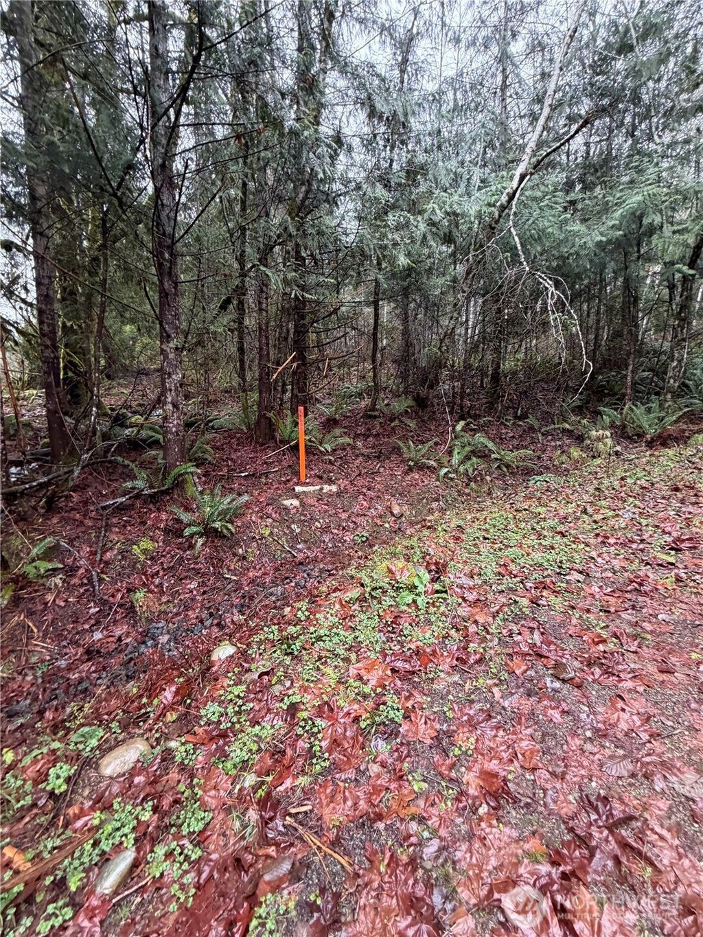 Photo of 0 XXX Mountain Trail, Brinnon, WA 98320 (MLS # 2510588)