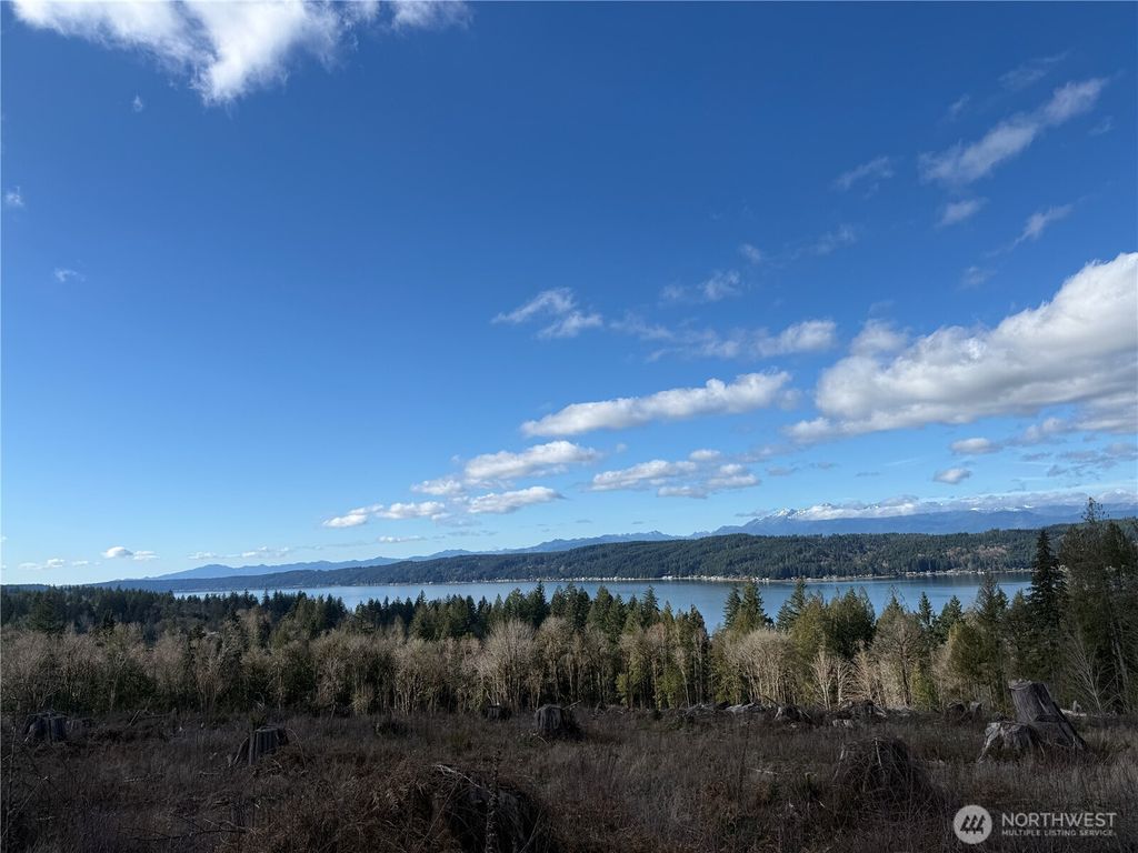 Photo of 3 Track RimStone Loop, Belfair, WA 98528 (MLS # 2480730)