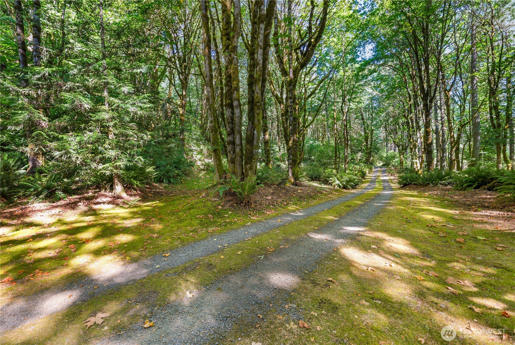 4937 Black Lake Boulevard SW