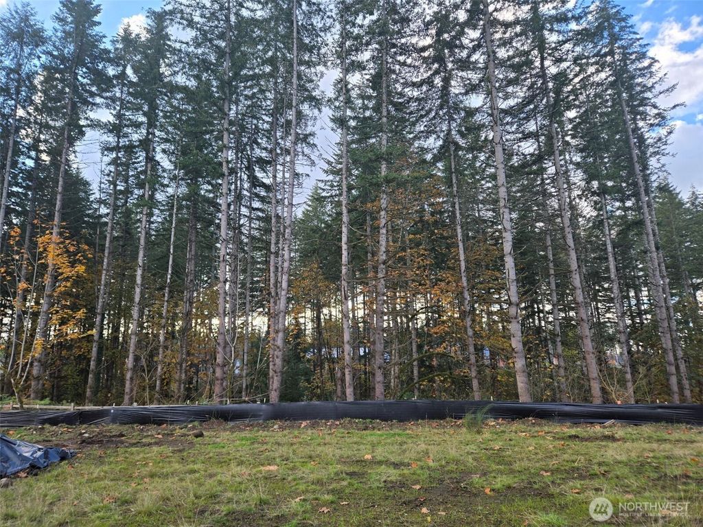 Photo of 23834 Site 187 SE Sequoia Street, Black Diamond, WA 98010 (MLS # 2349533)