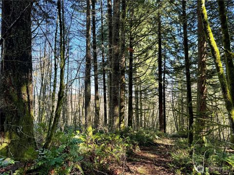 Photo of 0 Eufaula Heights, Longview, WA 98632 (MLS # 2493110)