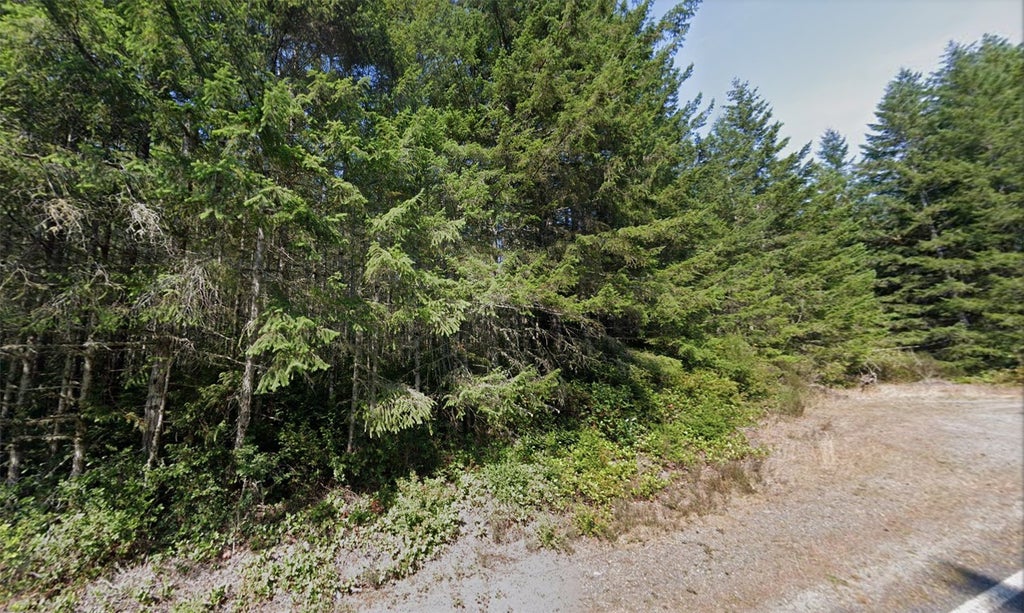 Photo of 172 Second Song Road, Quilcene, WA 98376 (MLS # 2563571)